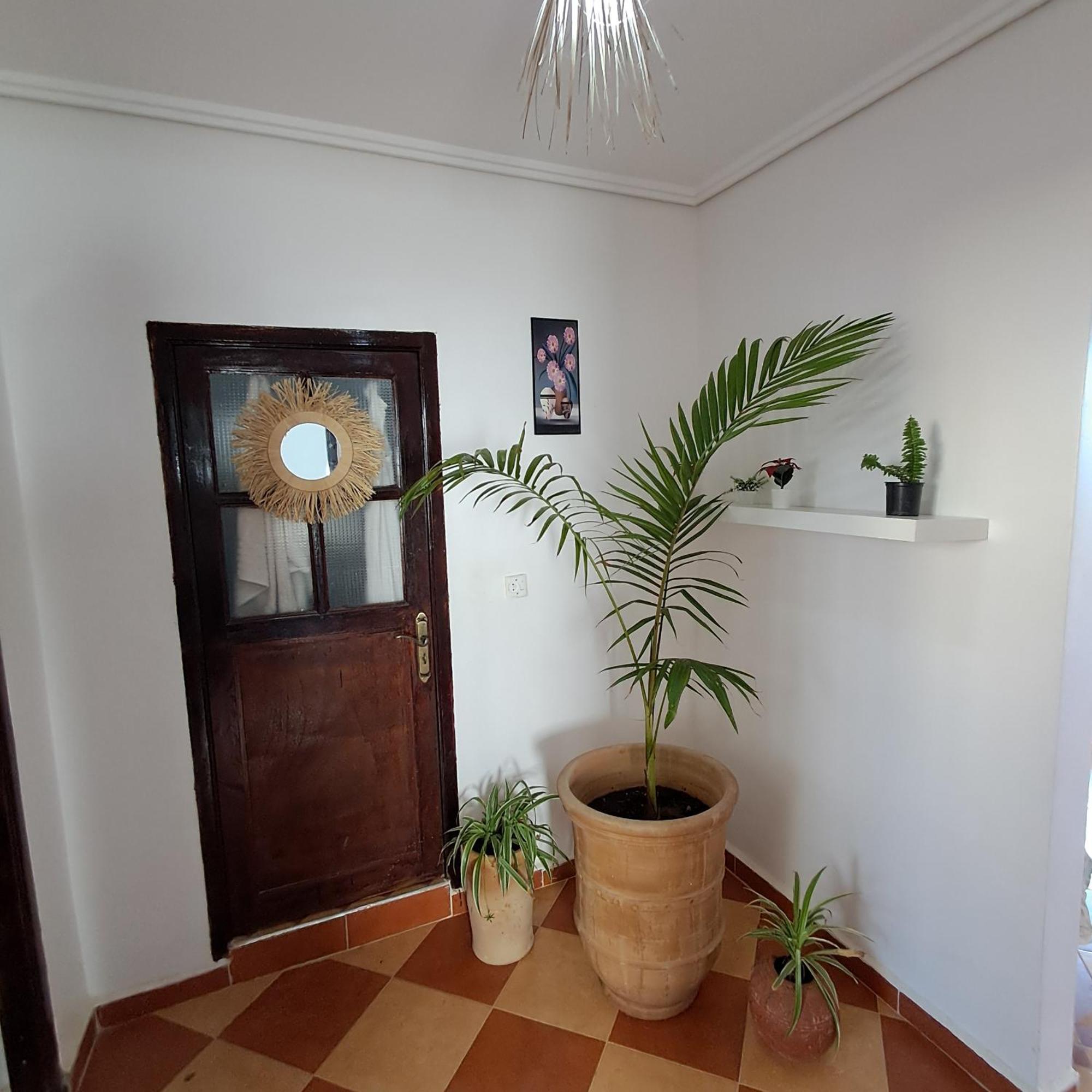 Buena Vista Morroco Guest House Tamraght Kamer foto